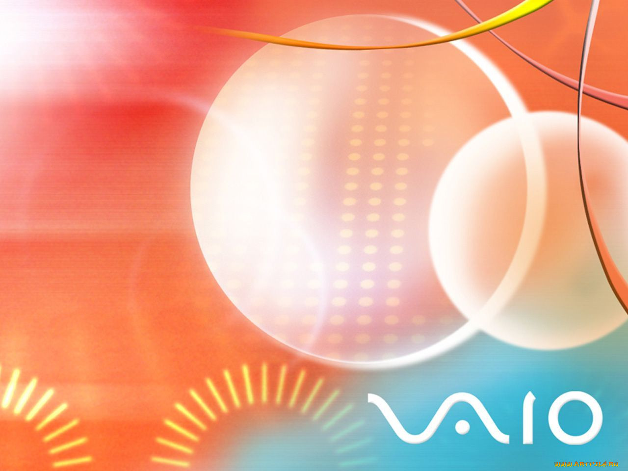 ����������, vaio